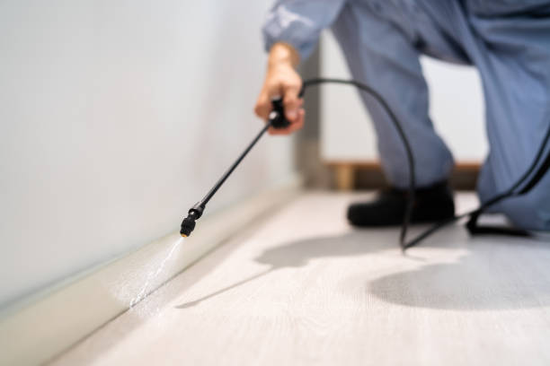 Licensed Ant Control service in Broward County County, FL - Nex Pest Control